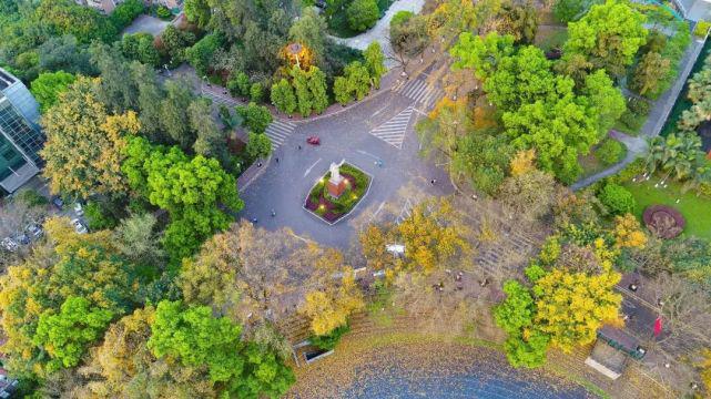 AG九游重庆大学王牌专业：最新最热值得关注！(图4)