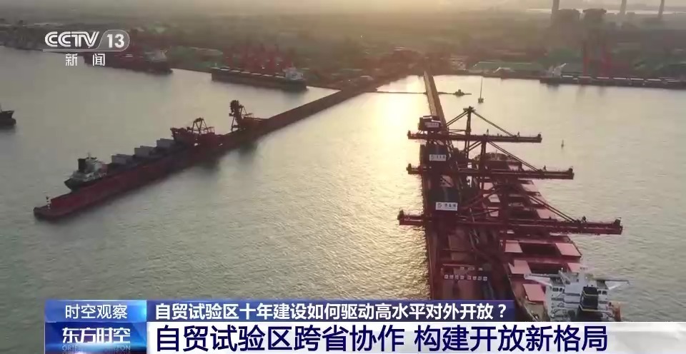 占AG九游会地少 产出高 贡献大！自贸试验区十年建设驱动高水平对外开放(图13)