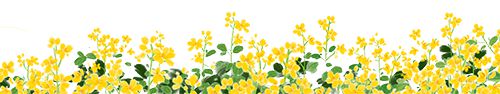 AG九游会【新余招聘】10月10日高薪招操作工、熟练缝纫工、保安、作业员等热门岗位(图1)